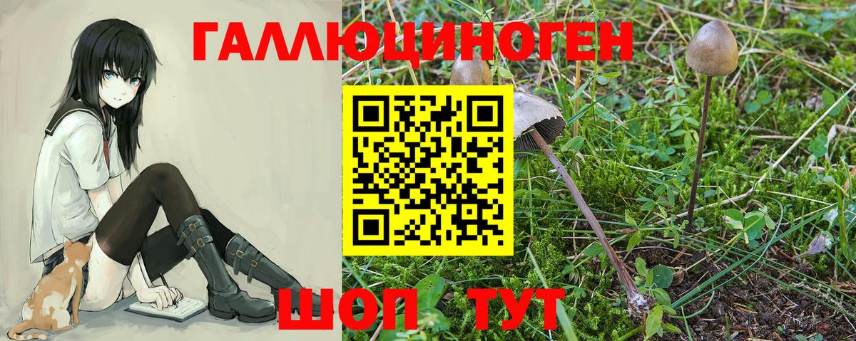 хочу наркоту  Галлюциногенные грибы мухоморы  Менделеевск  Вход с VPN  Галлюциногенные грибы Magic Shrooms 